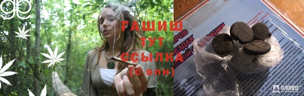 молекула духа Болохово