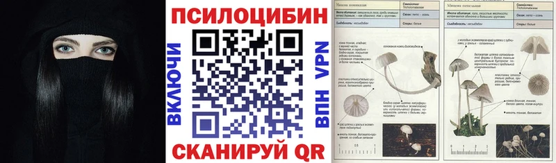 блэк спрут ССЫЛКА  Клинцы  Галлюциногенные грибы прущие грибы 